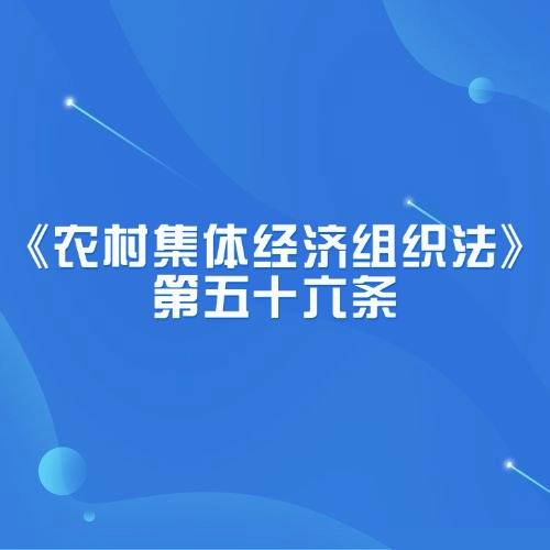 保障农村集体经济组织成员权益：法律途径与案例解读