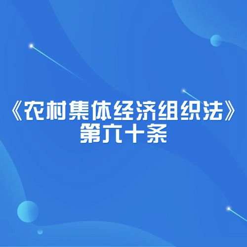 农村集体经济组织成员的法律维权路径