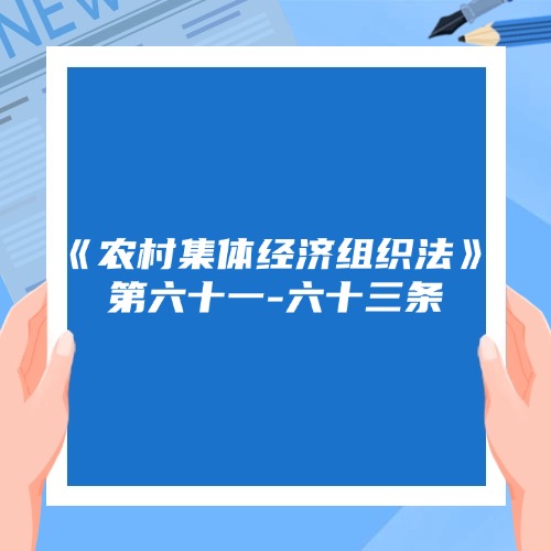 农村集体经济组织的法律保障：规范与救济