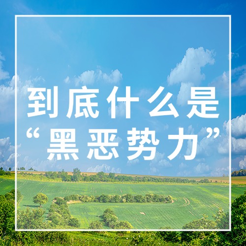 你的事属于“黑”还是“恶”？到底什么是“黑恶势力”？