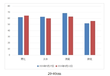 陕西土壤墒情快讯 （2024）第十一期3