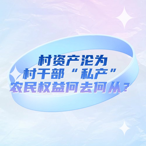 村资产沦为村干部 “私产”，农民权益何去何从？