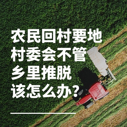 农民回村要地，村委会不管，乡里推脱，该怎么办？