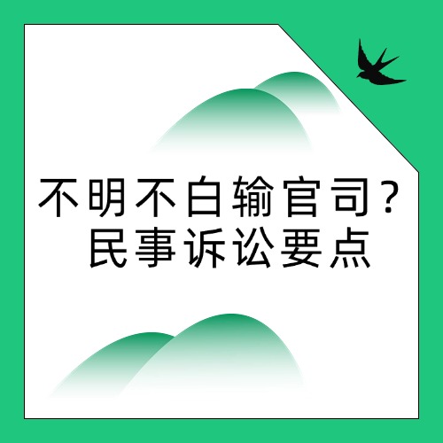 打官司输得不明不白？掌握这些民事诉讼要点，下次让你心中有数！