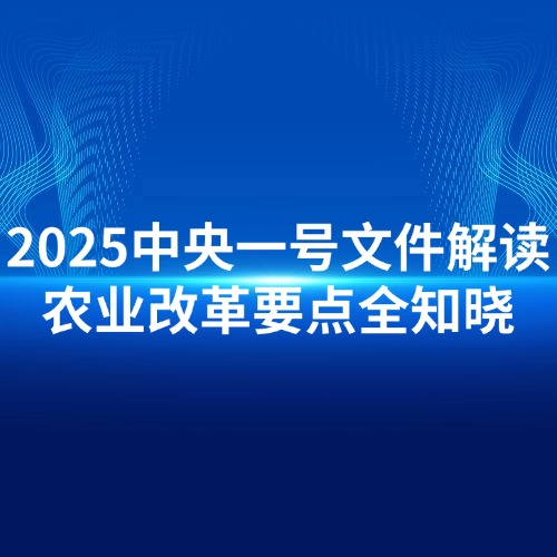 重磅！2025中央一号文件解读，农业改革要点全知晓