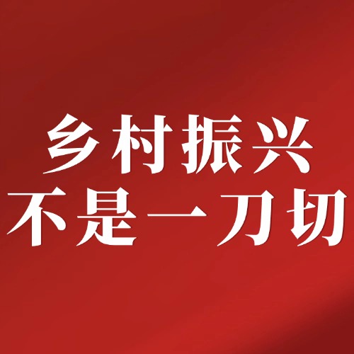 乡村振兴不是一刀切！这些政策执行乱象必须严查