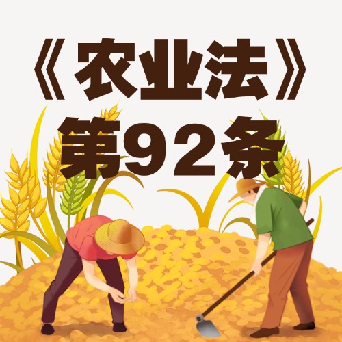 守护农业“输血钱”，严惩截留挪用行为