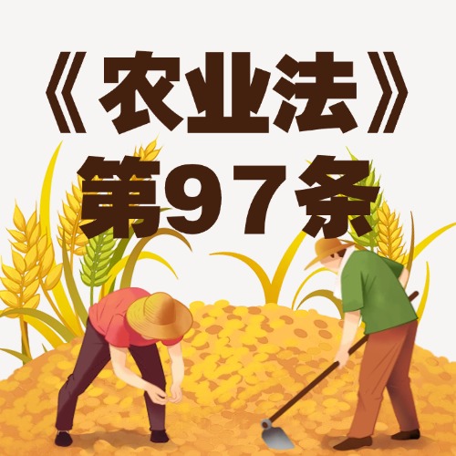 公职人员守底线，政企分离促公平