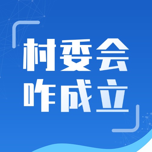 村委会咋成立的？原来要过这三道关！