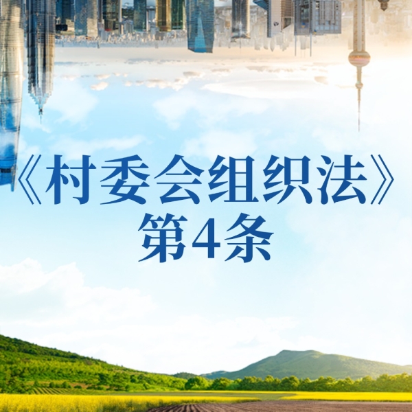 村支书和村委会是啥关系？党旗领航咱不迷航！