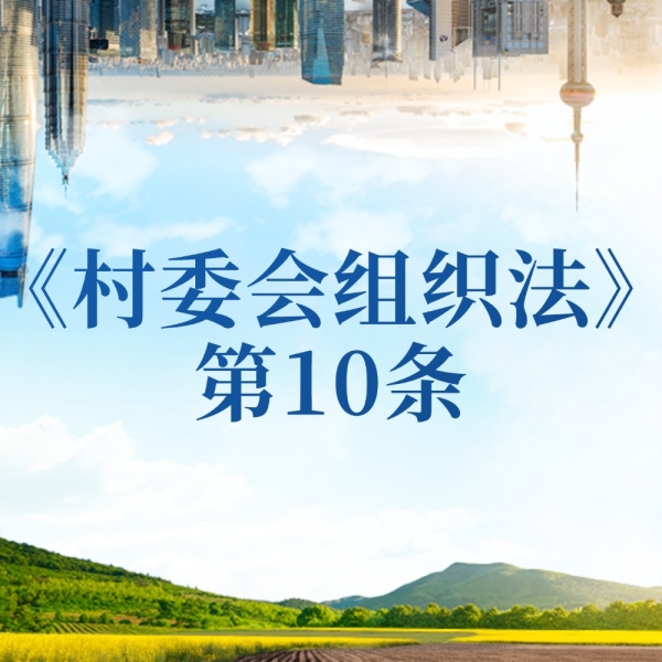 当村干部要守啥规矩？廉洁公道是根本！