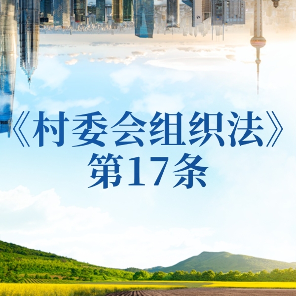 选举耍花招？当选无效还要被查！