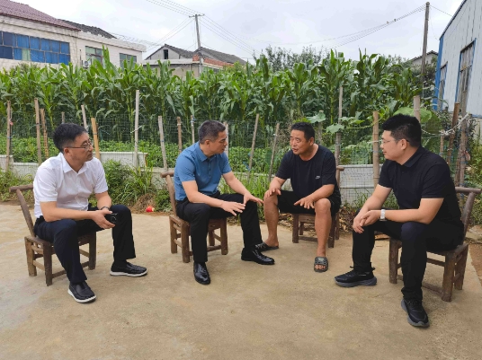 王建球调研秸秆综合利用工作2
