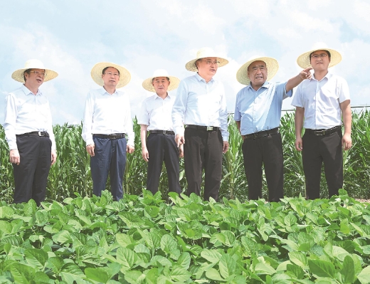 梁言顺在阜阳市调研时强调 坚持多种粮种好粮全力保障国家粮食安全 加快皖北地区全面振兴步伐