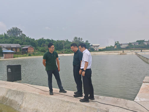 李春华赴内江市调研内资鲶鱼鮰鱼白乌鱼产业集群建设